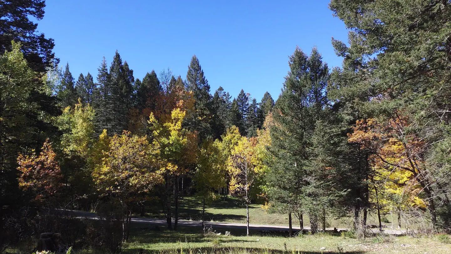 National Park vs. National Forest Camping: Which Should You Book?